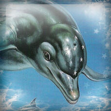 Ecco - Ecco The Dolphin